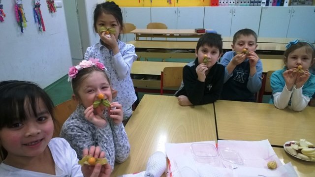 WP_20180222_009[1]